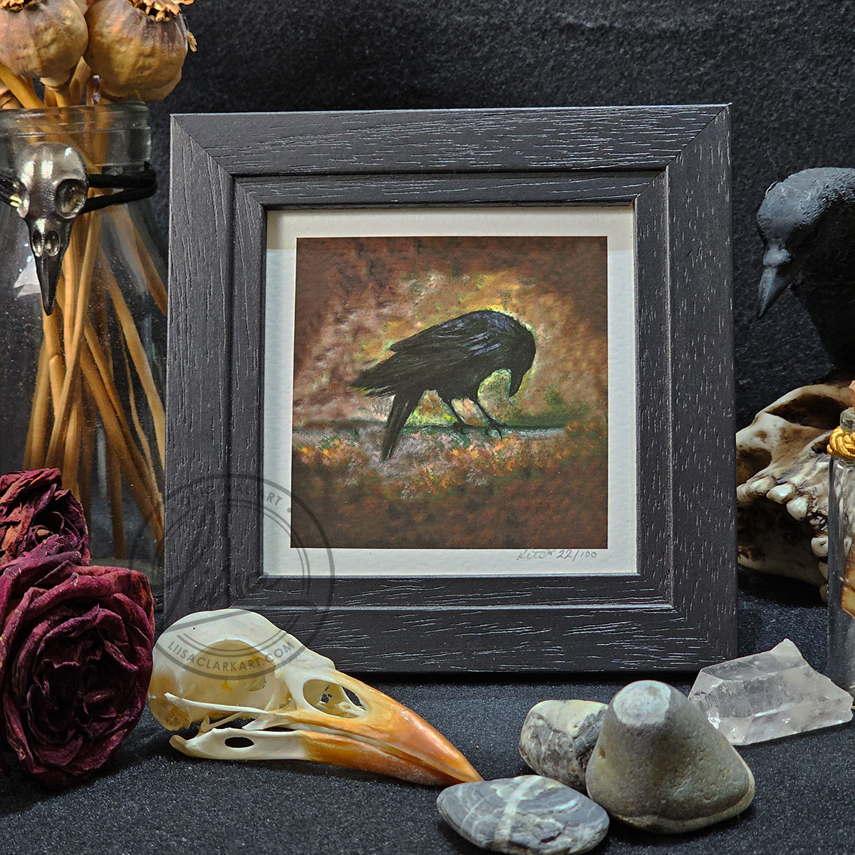Warm Pastel Crow Limited Edition Giclee Print set in a Contemporary Black Frame by Liisa Clark