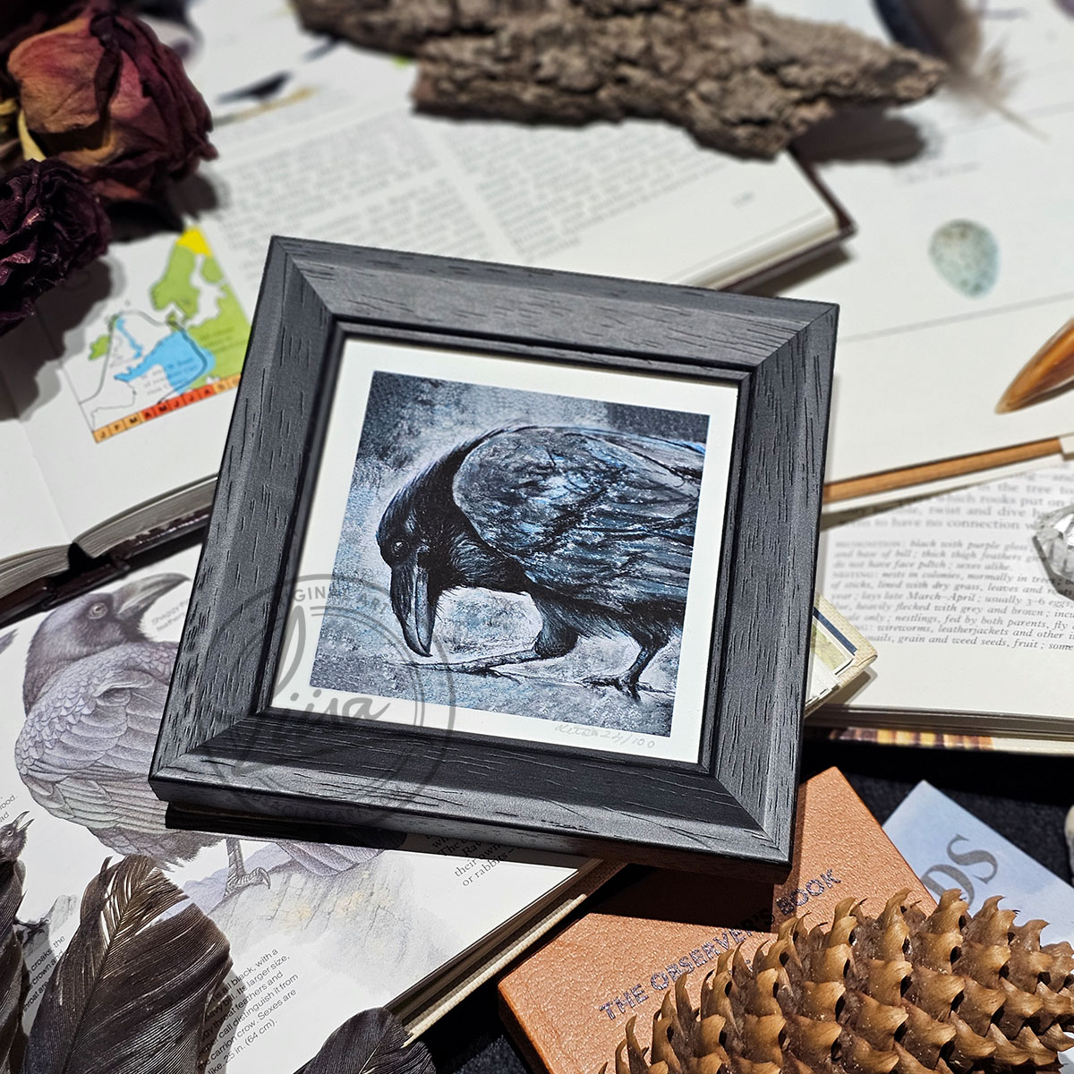 Raven Portrait in Muted Grey Tones in Pastels by Liisa Clark Fine Art Print Set in a Contemporary Black Frame