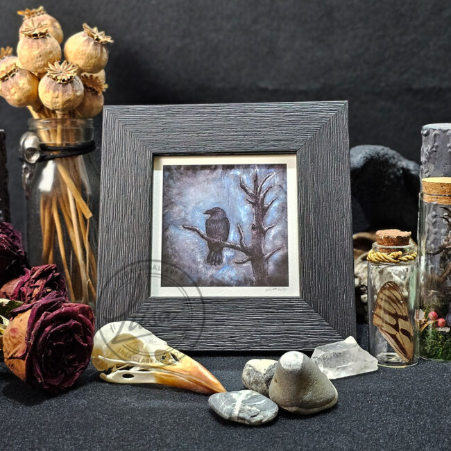 Crow Portrait titled King of the Woods in Muted Blue Tones in Pastels by Liisa Clark Fine Art Print Set in a Contemporary Black Frame