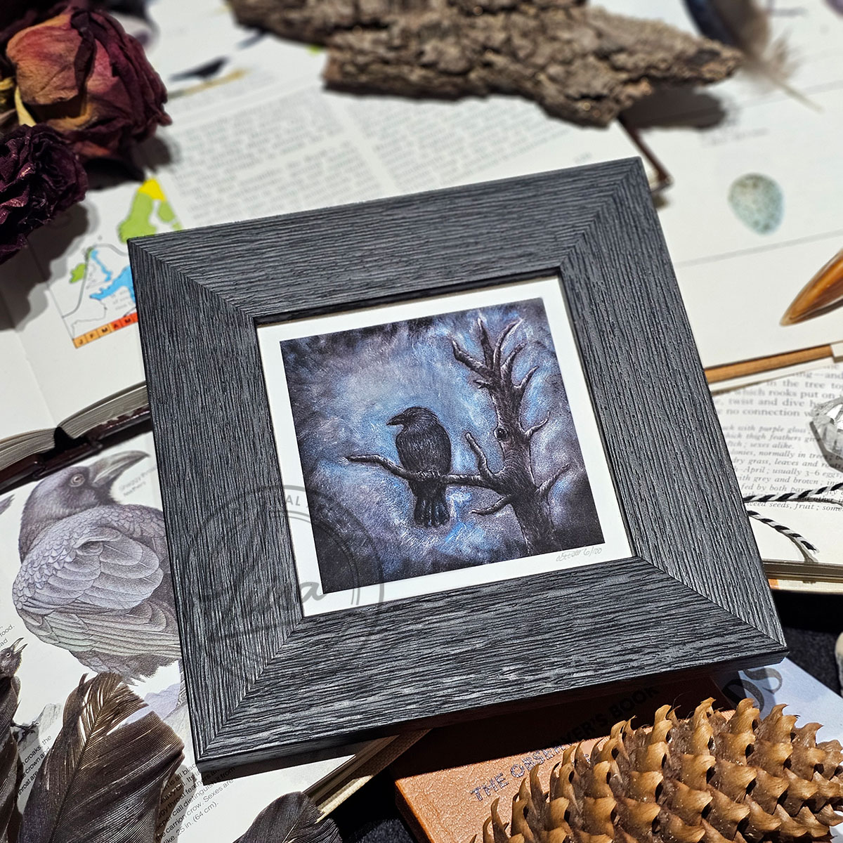 Crow Portrait titled King of the Woods in Muted Blue Tones in Pastels by Liisa Clark Fine Art Print Set in a Contemporary Black Frame