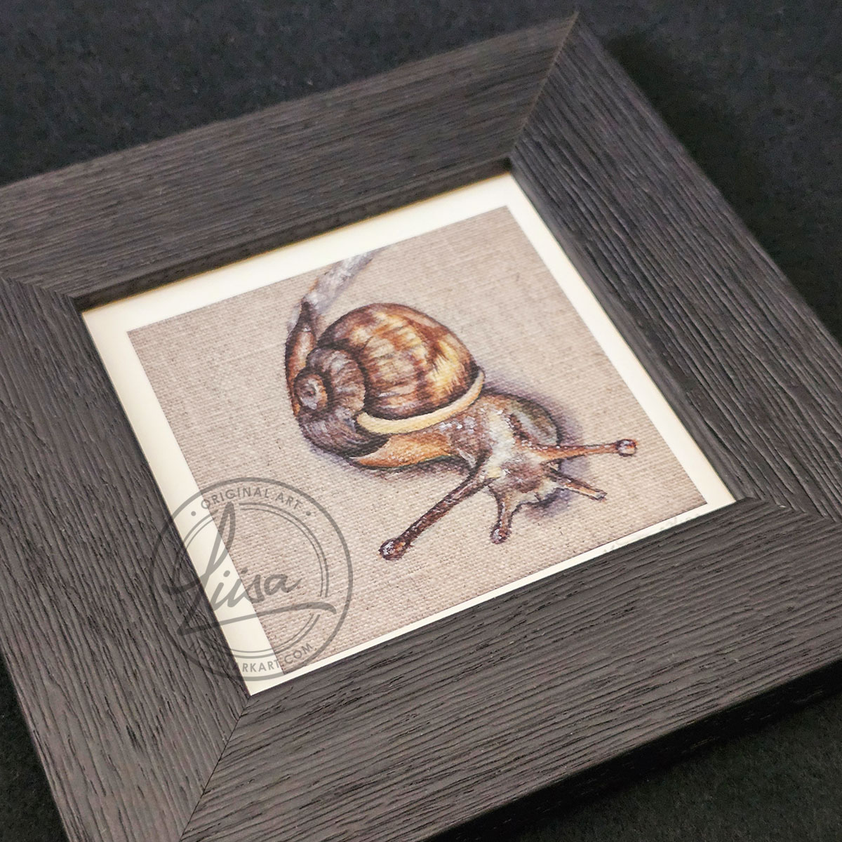 Limited Edition Giclee Art Print of a Garden Snail on a Natural Linen Panel Set in Contemporary Black Frame