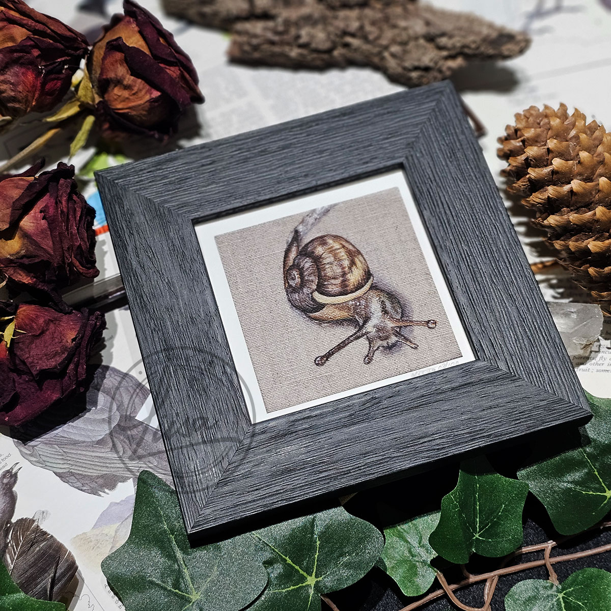 Limited Edition Giclee Art Print of a Garden Snail on a Natural Linen Panel Set in Contemporary Black Frame