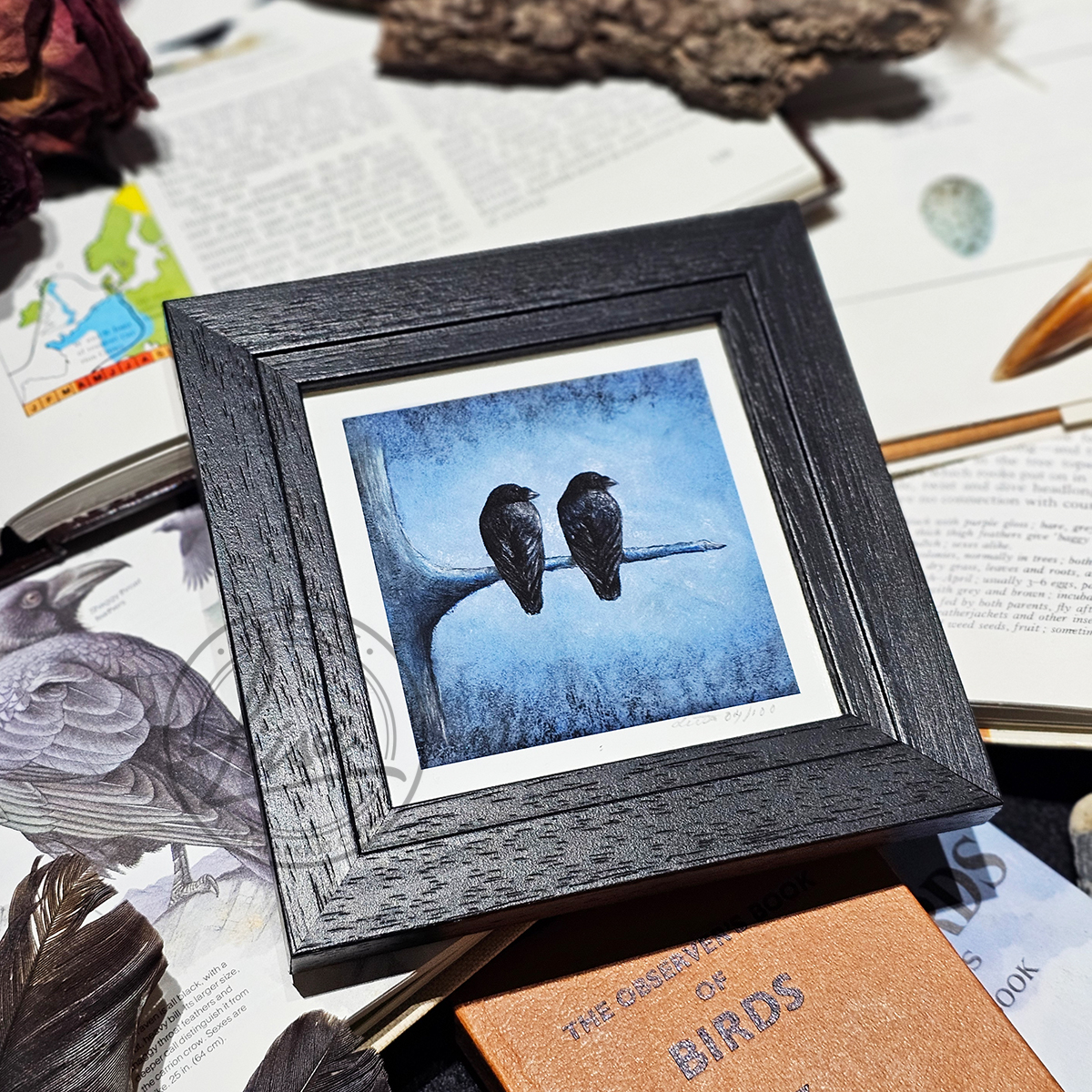 Crow Portrait titled Pair of Watchers in Muted Blue Tones in Pastels by Liisa Clark Fine Art Print Set in a Contemporary Black Frame