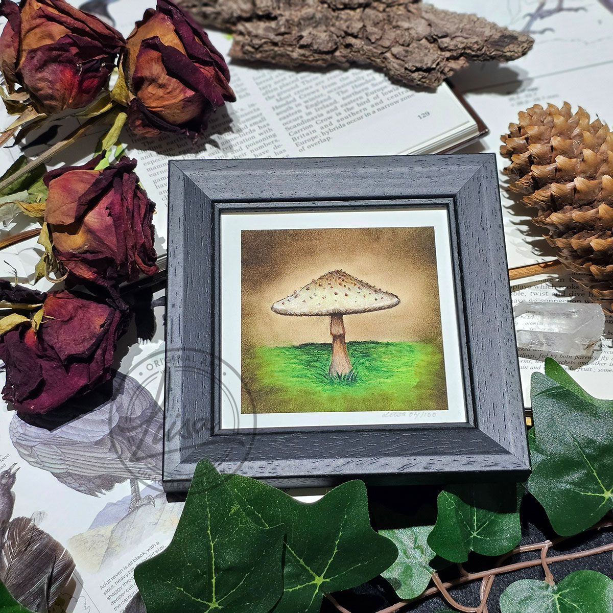 Limited Edition Giclee Art Print of a Parasol Toadstool Originally created On Velour Pastel Paper Set in a Black Contemporary Frame by Liisa Clark