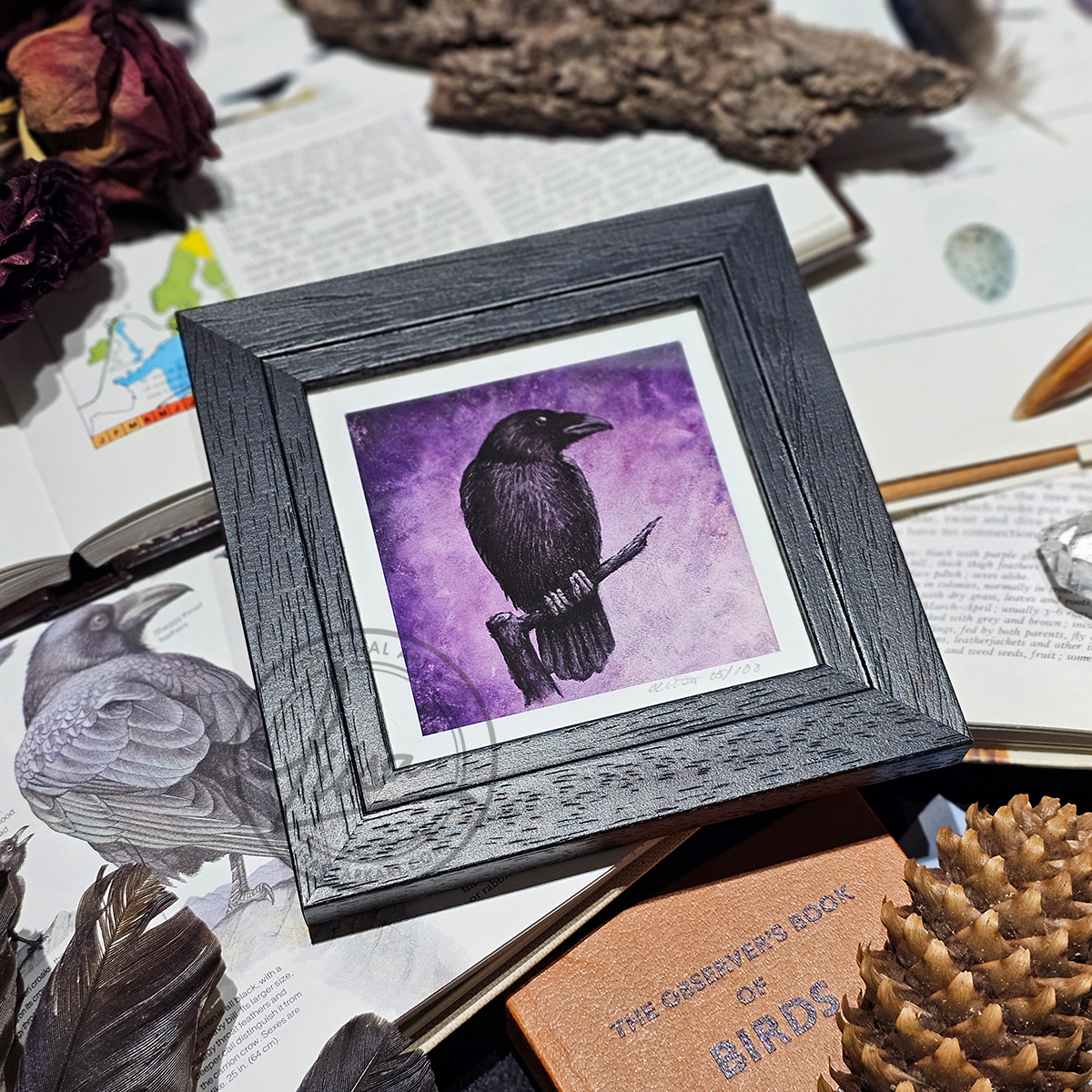 Violet Crow Limited Edition Giclee Fine Art Print set in a Contemporary Black Frame by Liisa Clark