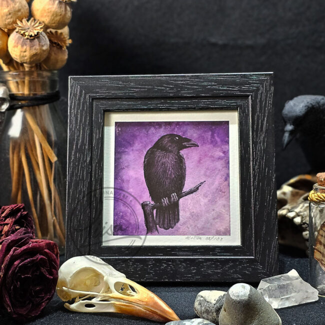 Violet Crow Limited Edition Giclee Fine Art Print set in a Contemporary Black Frame by Liisa Clark