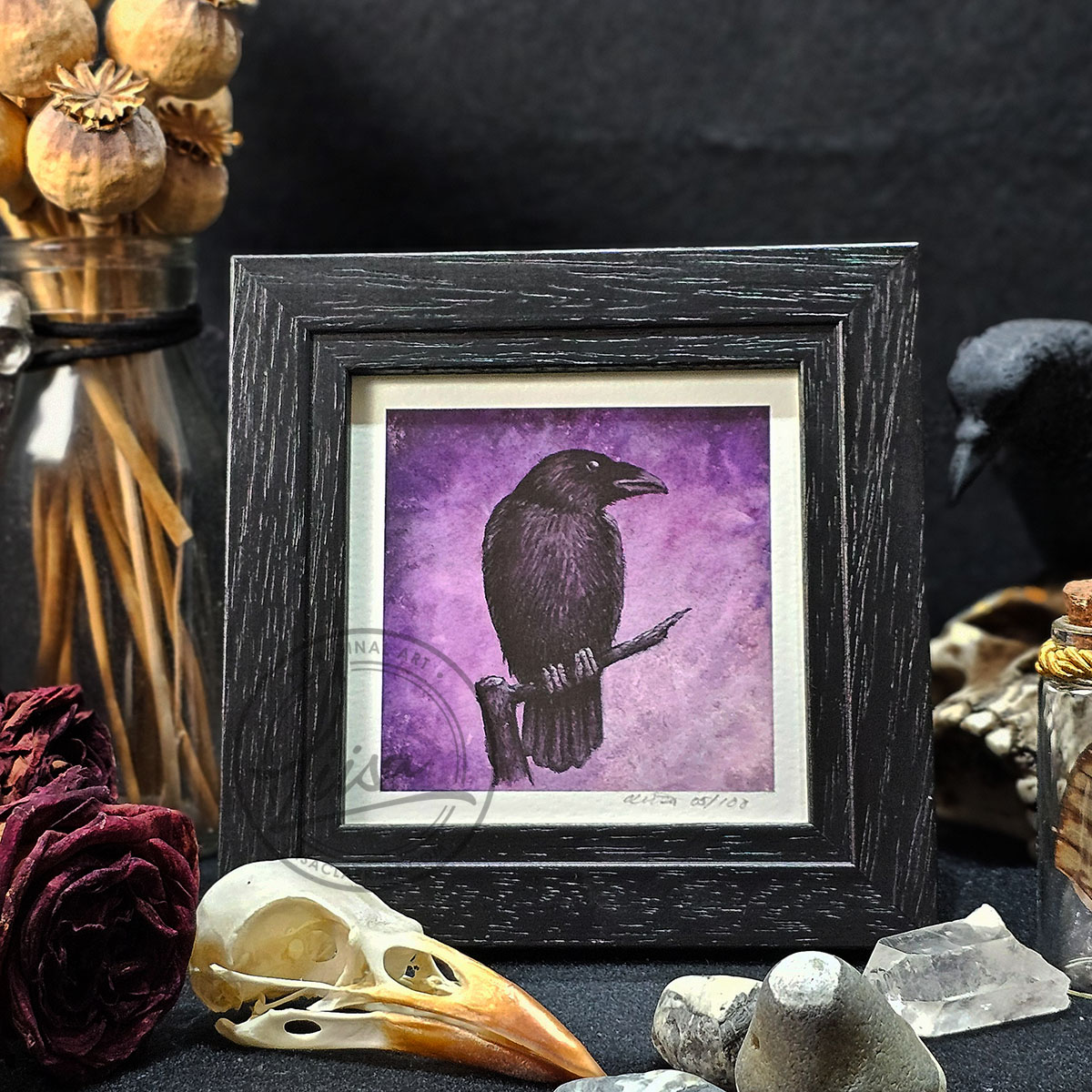 Violet Crow Limited Edition Giclee Fine Art Print set in a Contemporary Black Frame by Liisa Clark