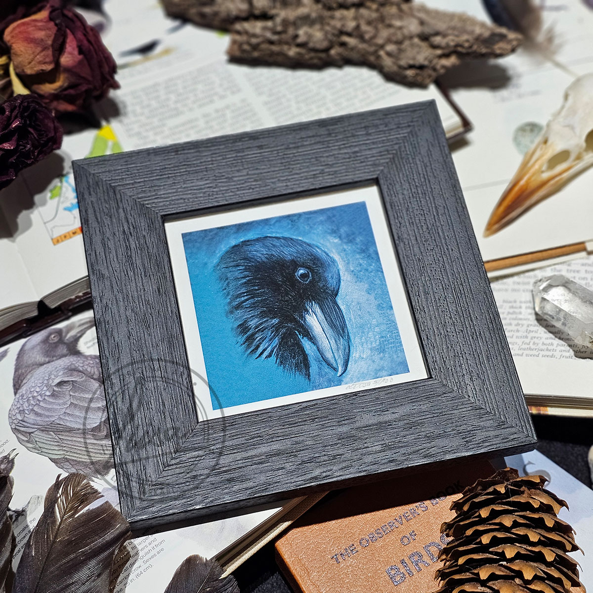 Portrait Of a Raven in Muted Grey Tones on Teal Pastel Paper in Pastels by Liisa Clark Fine Art Print Set in a Contemporary Black Frame by Liisa Clark
