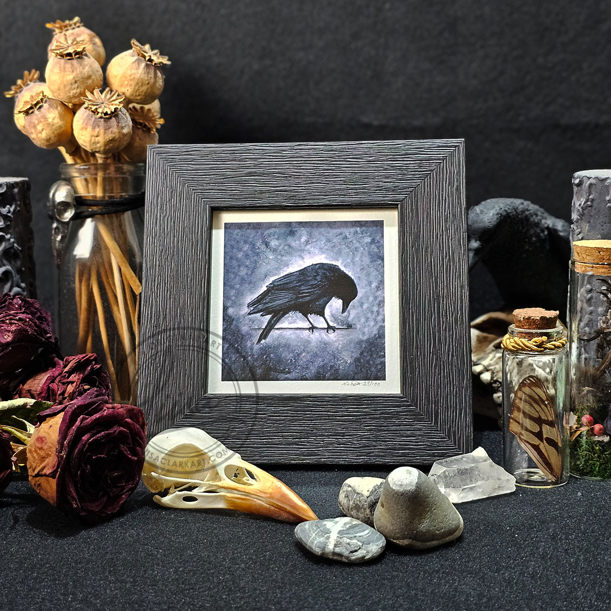 Crow Portrait in Muted Grey Tones in Pastels by Liisa Clark Fine Art Print Set in a Contemporary Black Frame by Liisa Clark