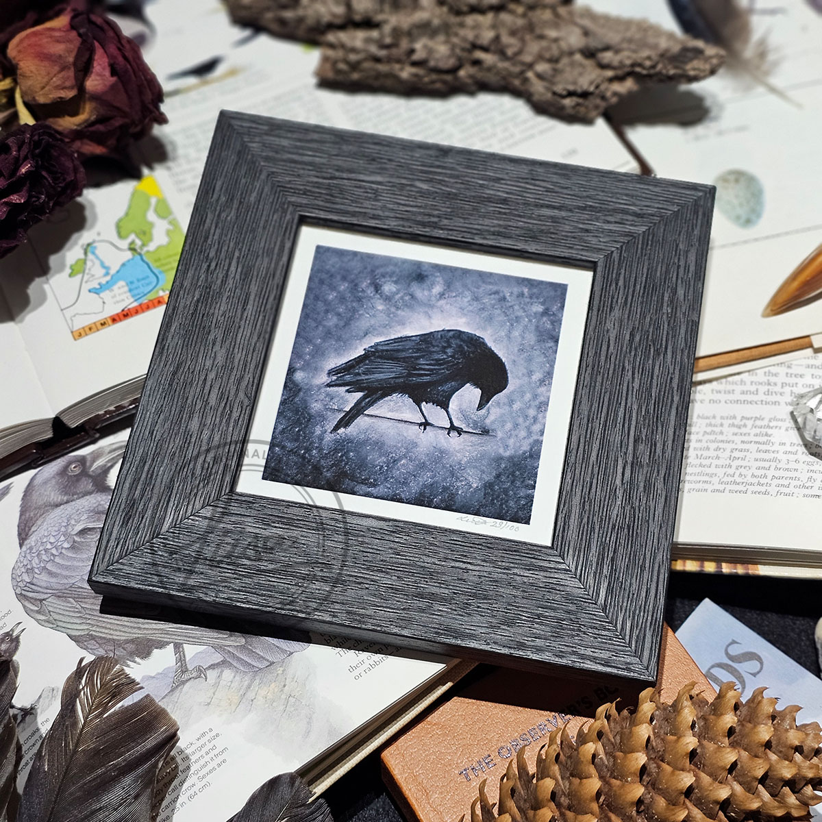Crow Portrait in Muted Grey Tones in Pastels by Liisa Clark Fine Art Print Set in a Contemporary Black Frame by Liisa Clark