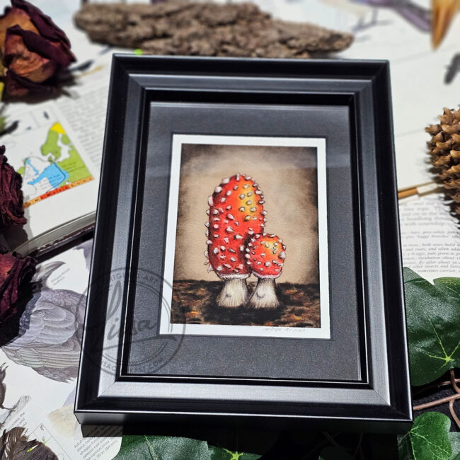 Limited Edition Giclee Art Print of a Pair of Fly Agaric Toadstools Originally On Velour Pastel Paper Set in a Black Contemporary Frame by Liisa Clark