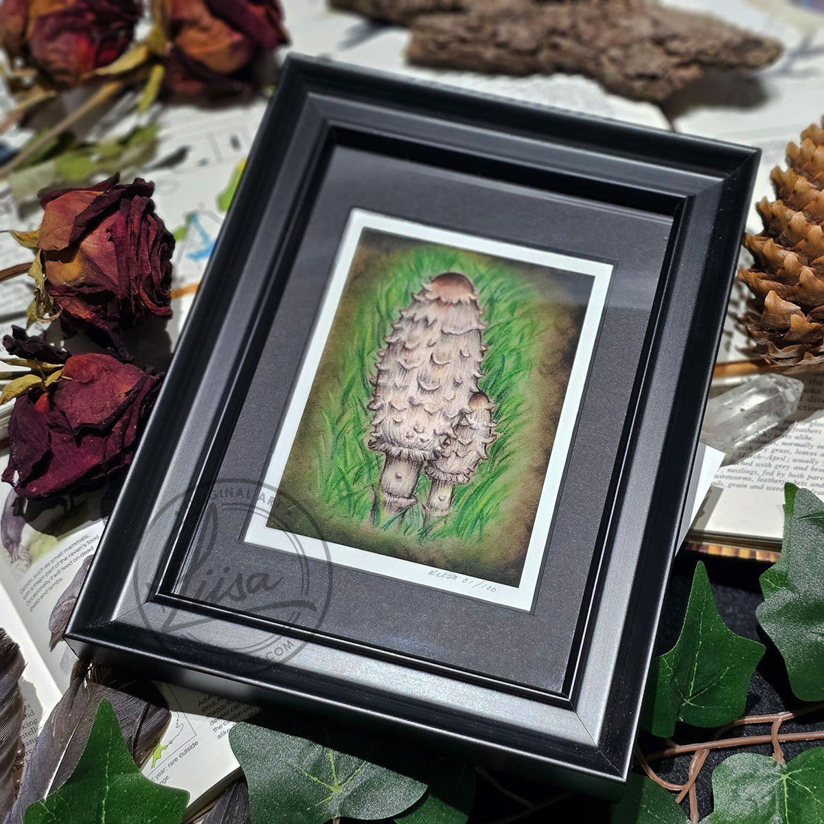 Limited Edition Giclee Art Print of a Pair of Shaggy Ink Cap Toadstools nestled in Grass Originally On Velour Pastel Paper Set in a Black Contemporary Frame by Liisa Clark