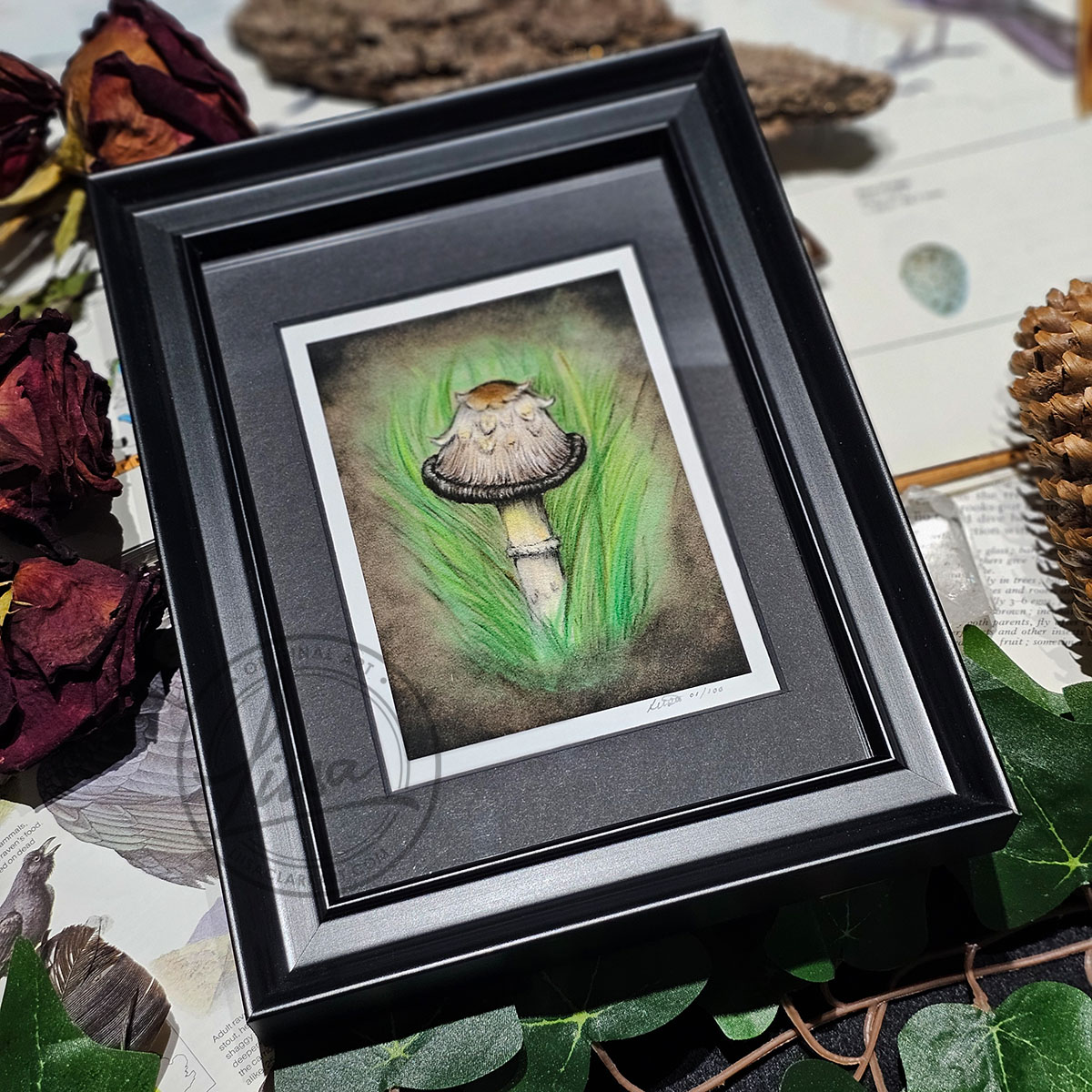 Limited Edition Giclee Art Print of an Ink Cap Toadstool nestled in Grass Originally On Velour Pastel Paper Set in a Black Contemporary Frame by Liisa Clark