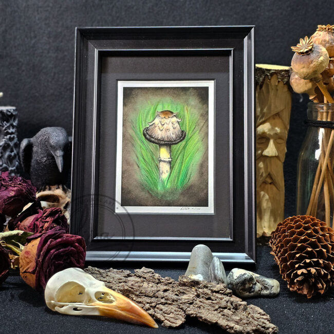 Limited Edition Giclee Art Print of an Ink Cap Toadstool nestled in Grass Originally On Velour Pastel Paper Set in a Black Contemporary Frame by Liisa Clark