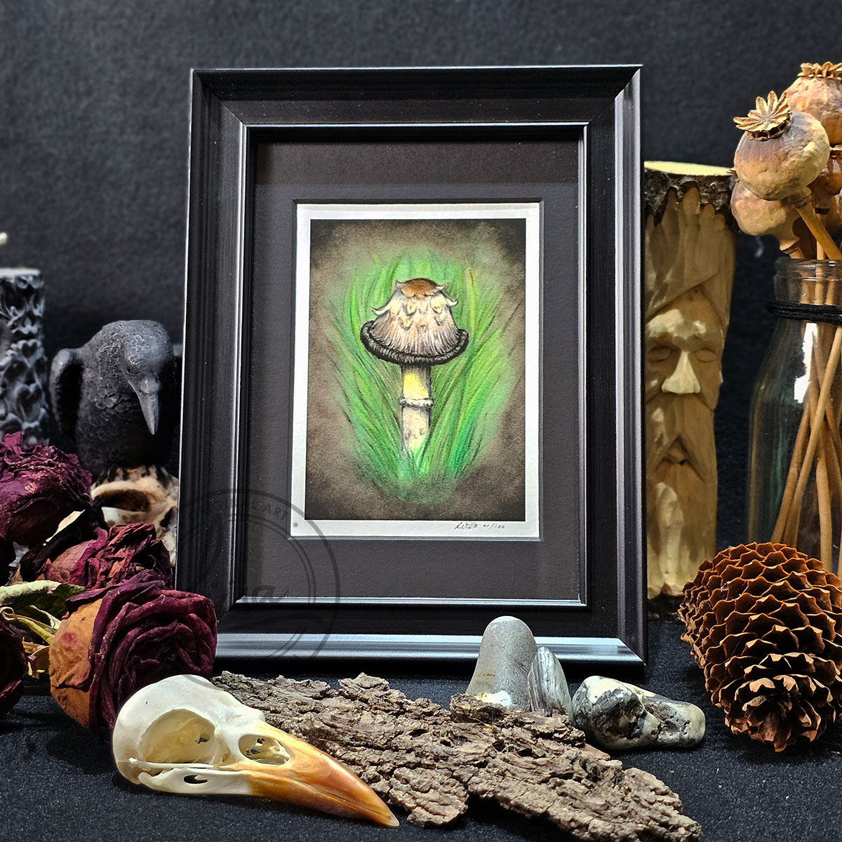 Limited Edition Giclee Art Print of an Ink Cap Toadstool nestled in Grass Originally On Velour Pastel Paper Set in a Black Contemporary Frame by Liisa Clark