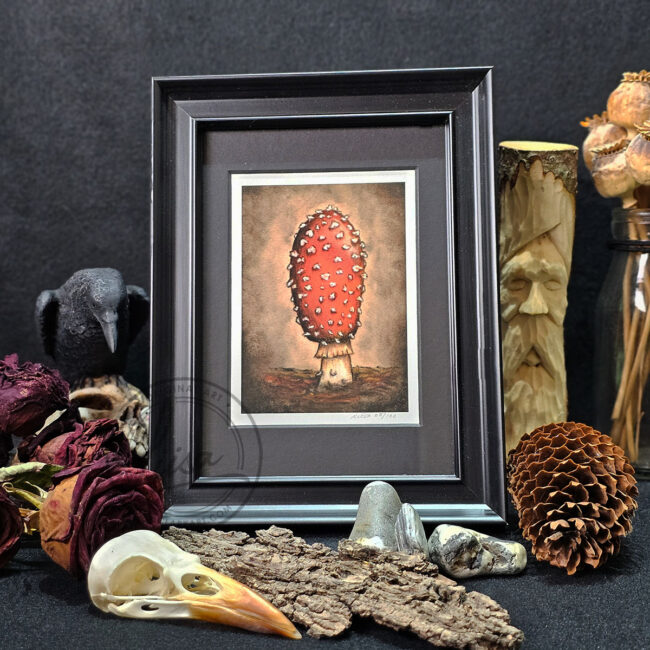 Limited Edition Giclee Art Print of a Fly Agaric Toadstool Originally On Velour Pastel Paper Set in a Black Contemporary Frame by Liisa Clark