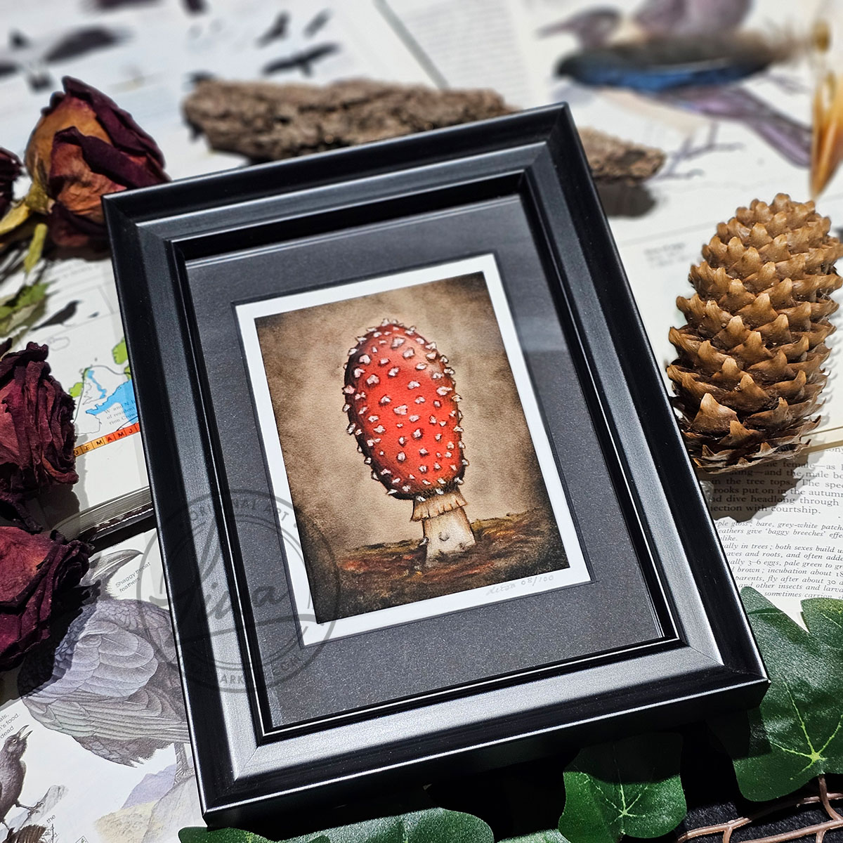 Limited Edition Giclee Art Print of a Fly Agaric Toadstool Originally On Velour Pastel Paper Set in a Black Contemporary Frame by Liisa Clark