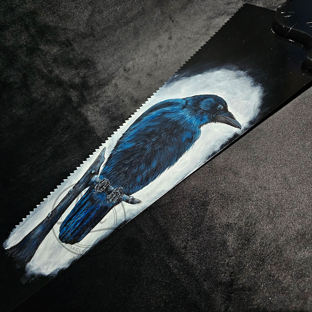 Detail of Acrylic painted Crow feathers on Vintage Steel Memento mori corvid artwork on an antique saw