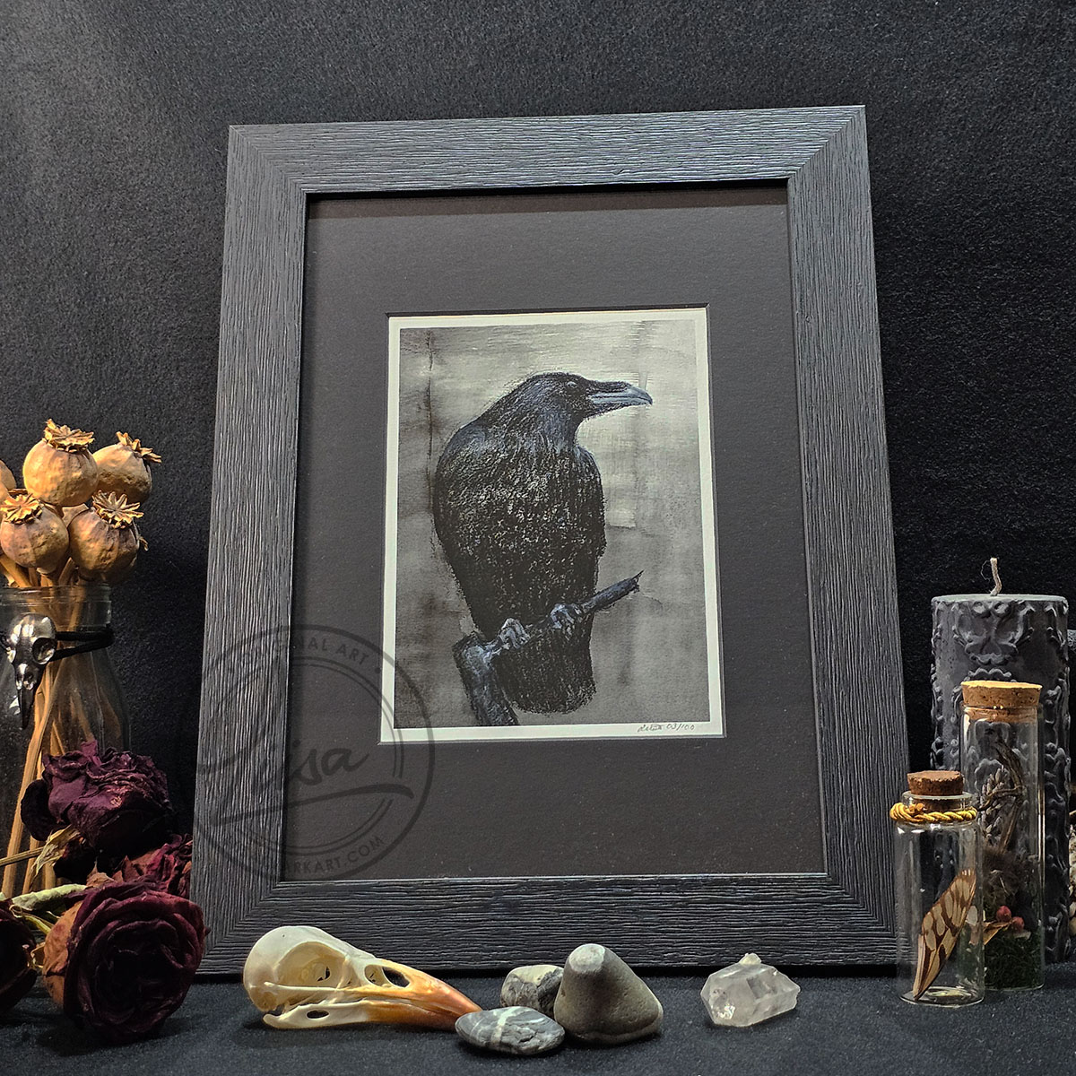 Limited Edition Giclee Print of Hand drawn Crow in Conte and Pastels on an Ink Back ground. The Crow is Surveying the world. Framed and ready for you to hang by Liisa Clark
