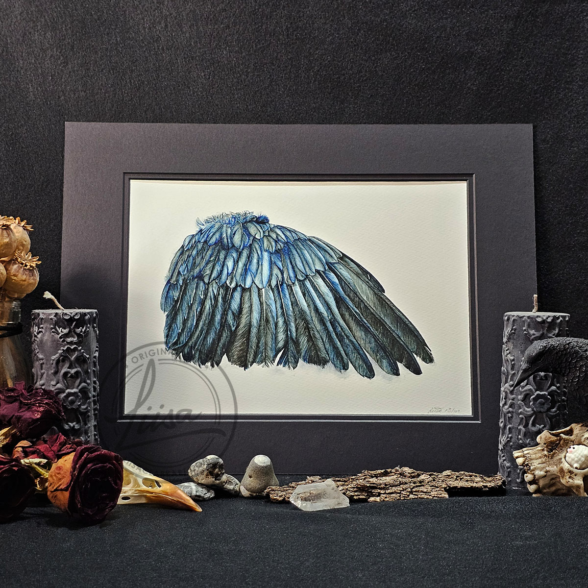 Study Of a Crow Wing Originally created in Watercolours now Fine Art Print Set in Black Mount ready for you to frame by Liisa Clark
