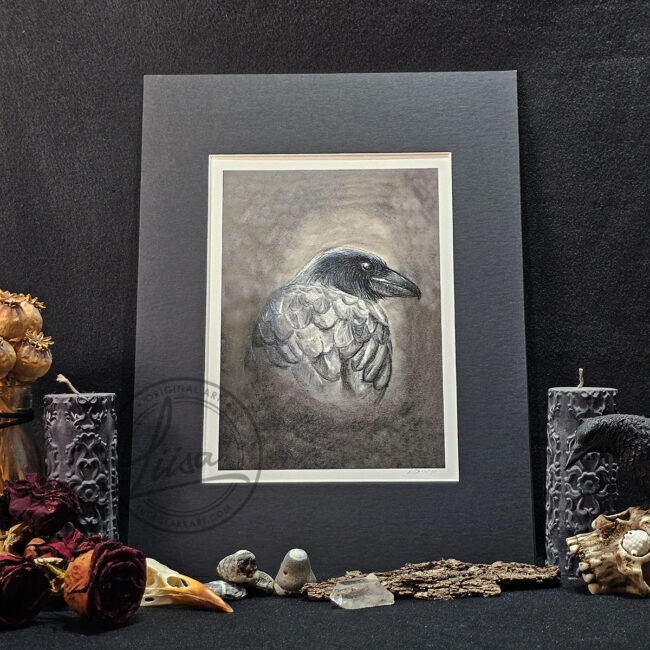 Portrait Of a Raven in Muted Grey Tones in Pastels by Liisa Clark Fine Art Print Set in Black Mount ready for you to frame by Liisa Clark