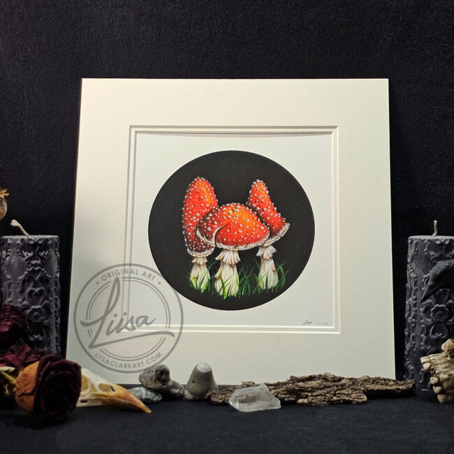 Limited Edition Giclee Print of 3 Fly Agaric Toadstools with a round black Background Titled Whispering Toadstools by Liisa Clark