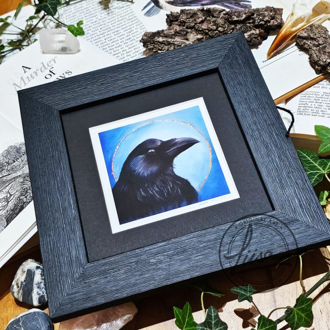 Framed crow artwork with copper leaf embellishment displayed with ivy and natural history objects from the Blue Corvid Series by Liisa Clark Art.