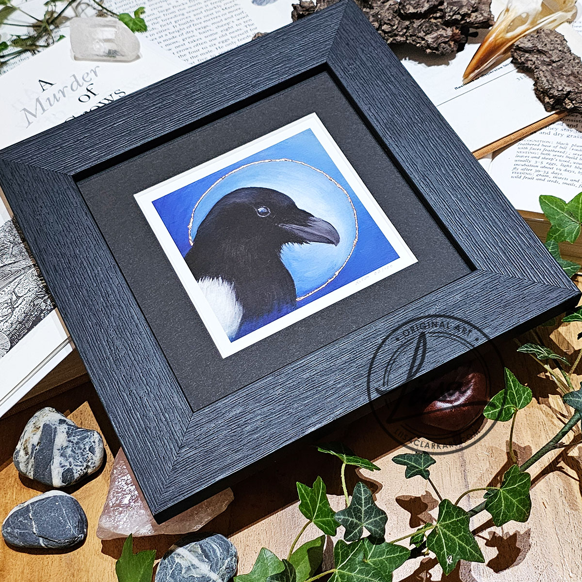Framed limited edition magpie giclée print with hand embellished copper leaf halo from the Blue Corvid Series by Liisa Clark Art, displayed with ivy, stones and natural history objects