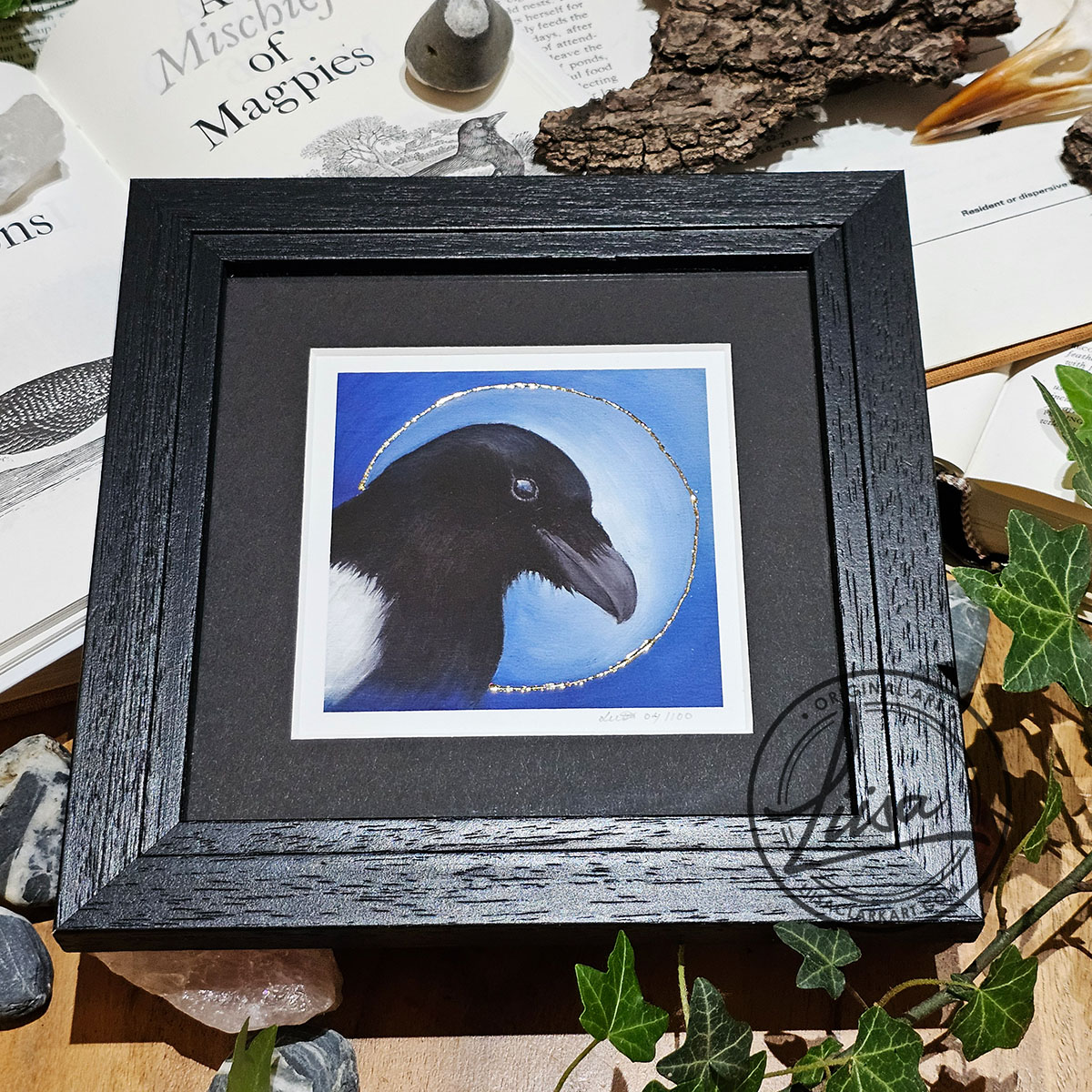 Framed limited edition magpie print with Gold leaf halo in black wood frame from the Blue Corvid Series by Liisa Clark Art