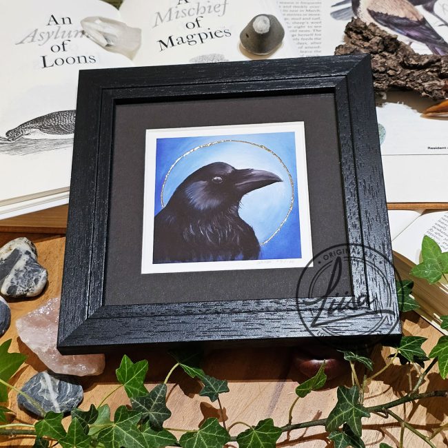 Framed crow artwork with gold leaf embellishment displayed with ivy and natural history objects from the Blue Corvid Series by Liisa Clark Art