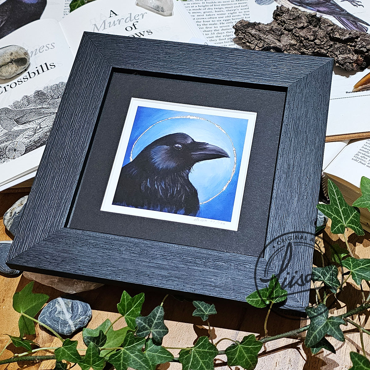 Framed limited edition crow giclée print with hand embellished silver leaf from the Blue Corvid Series by Liisa Clark Art.