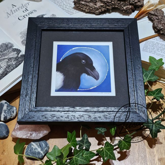 Framed limited edition magpie print with Silver leaf halo in black wood frame from the Blue Corvid Series by Liisa Clark Art