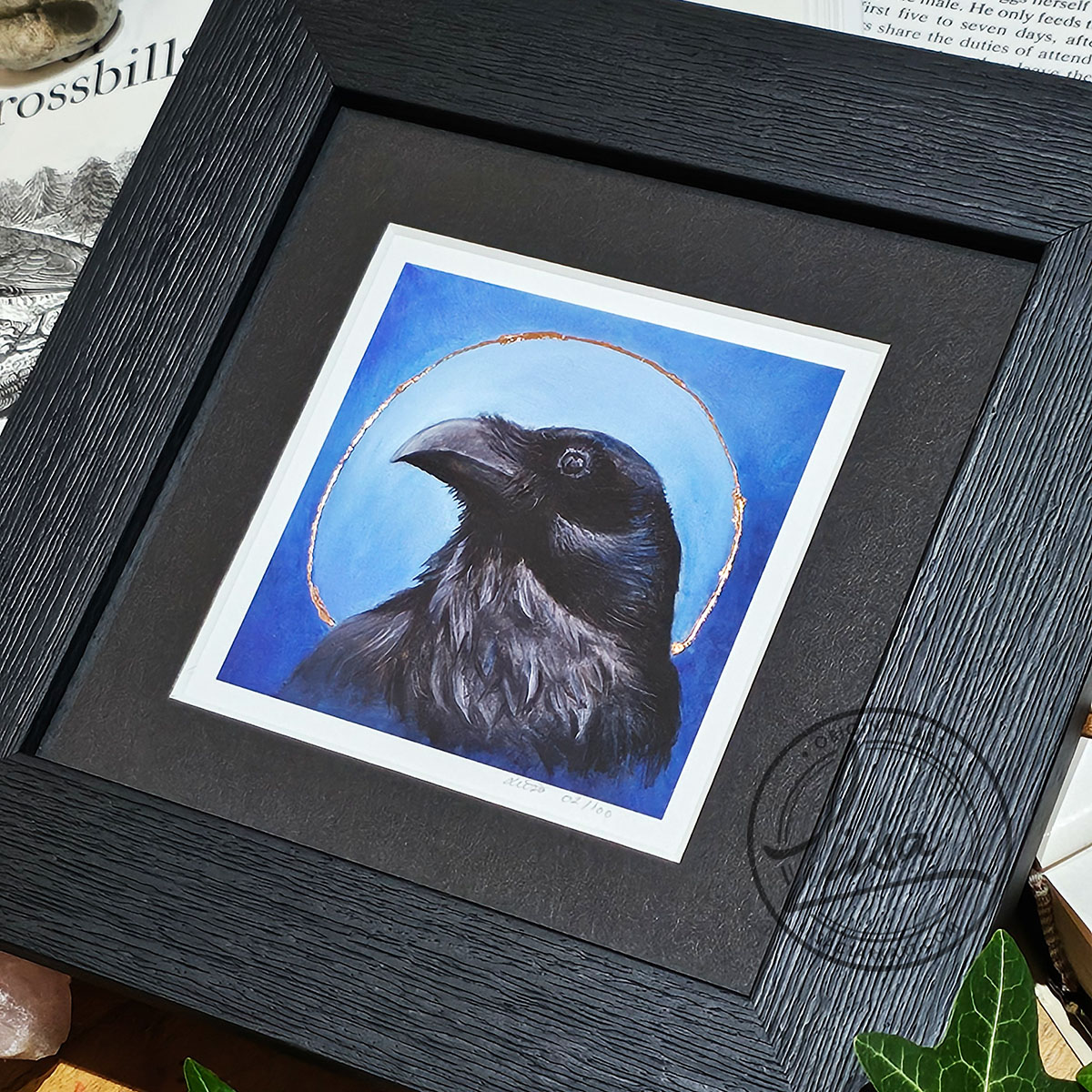 Close-up of a framed raven giclée print with copper leaf halo from the Blue Corvid Series by Liisa Clark Art.