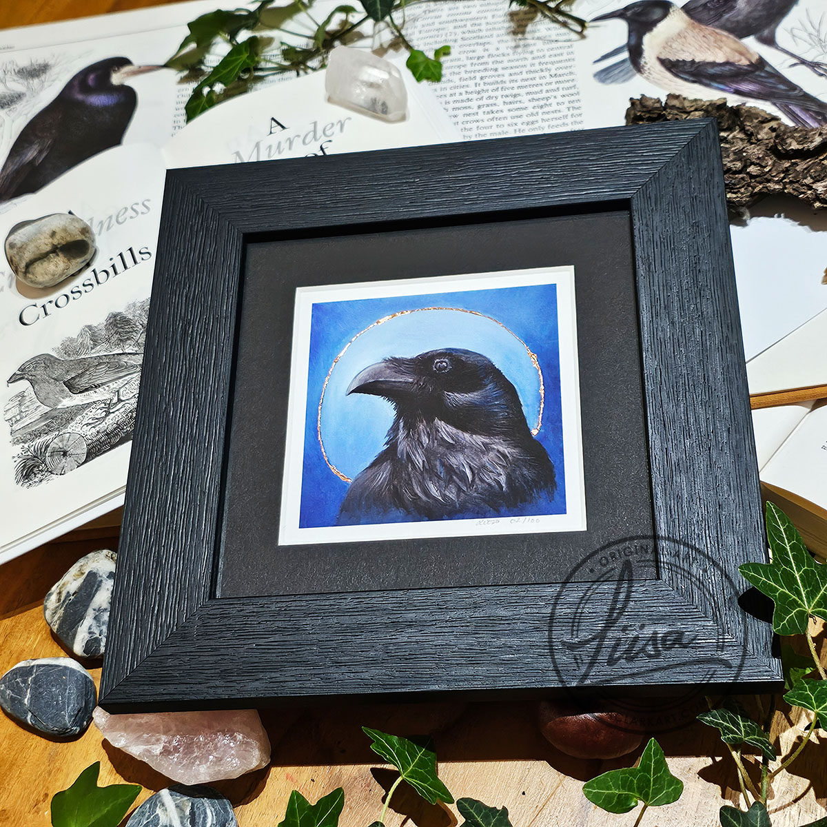 Framed raven artwork with copper leaf embellishment displayed with ivy and natural history objects from the Blue Corvid Series by Liisa Clark Art