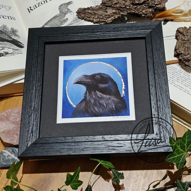 Framed raven artwork with gold leaf embellishment displayed with ivy and natural history objects from the Blue Corvid Series by Liisa Clark Art