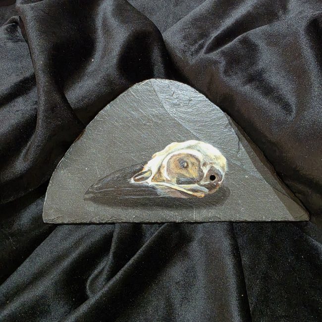 Original crow skull painting on a triangular piece of reclaimed Welsh slate, photographed against black fabric