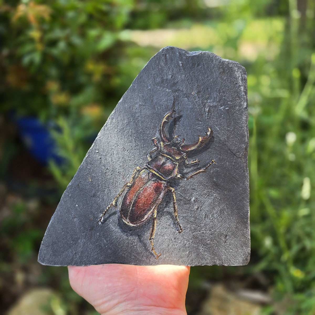 Original stag beetle painting Keeper of the Old Stone held in hand, showing the size and natural texture of genuine reclaimed Welsh slate