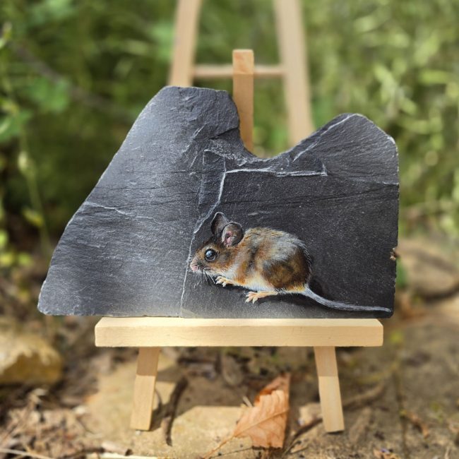 Small Wonders, an original wood mouse painting on reclaimed Welsh slate, displayed on a wooden easel in a garden